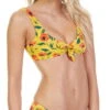 Tori Praver Raven Bikini Top In French Poppy