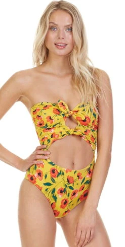 Tori Praver Roux One Piece Swimsuit In French Poppy